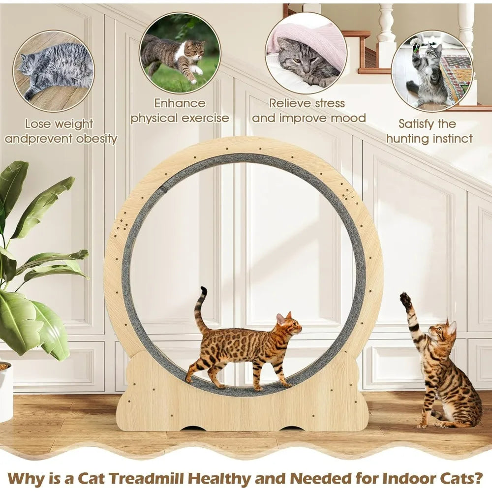Indoor Cat Exercise Wheel With Lockable Mechanism Quiet Operation