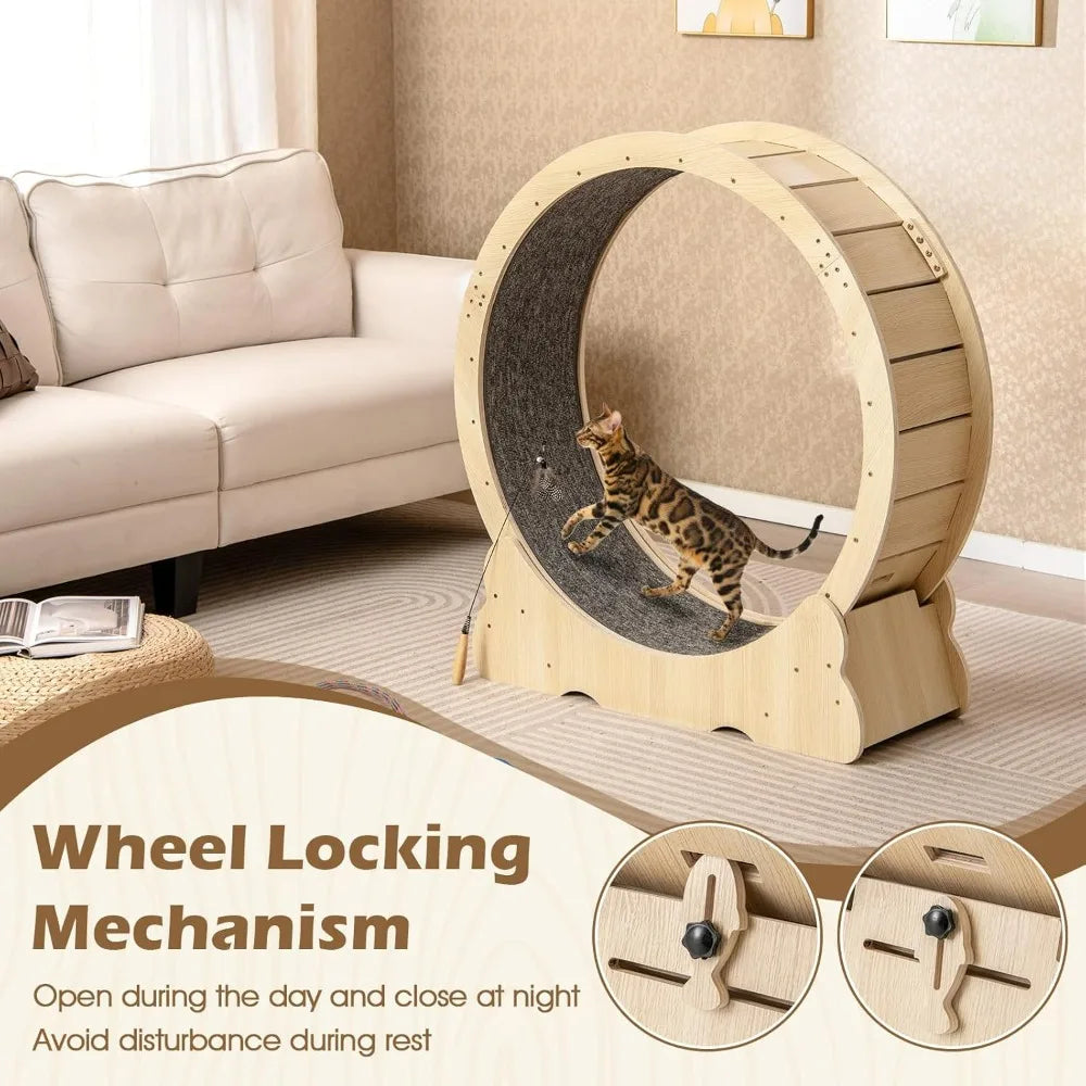 Indoor Cat Exercise Wheel With Lockable Mechanism Quiet Operation