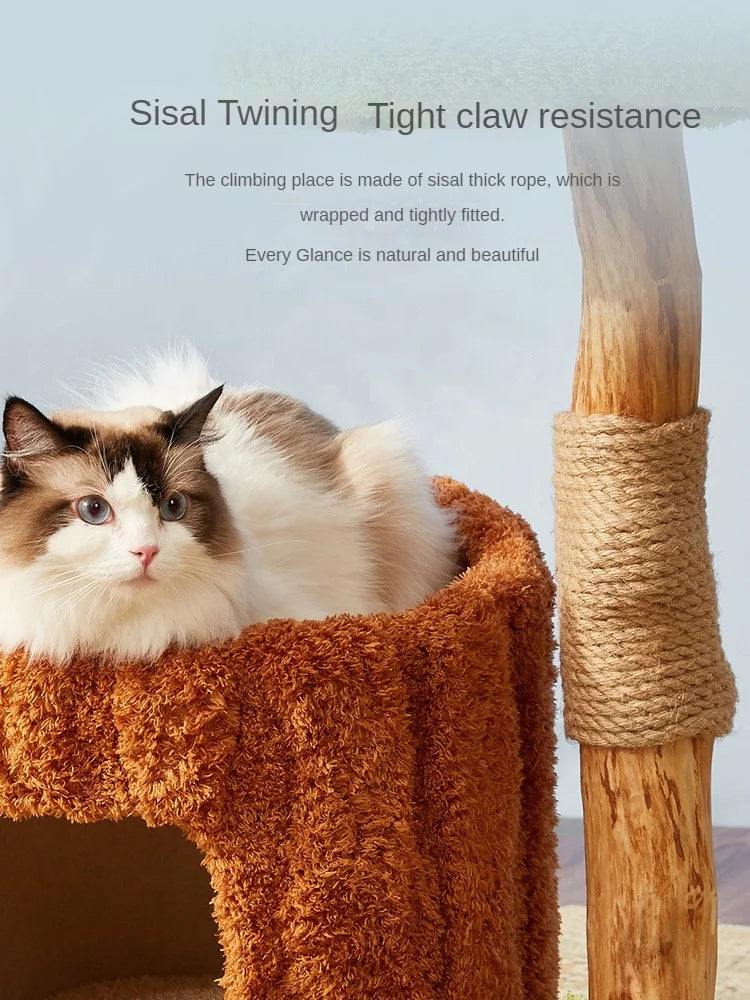 Floor To Ceiling Cat Tree Tower With Scratching Posts Wooden