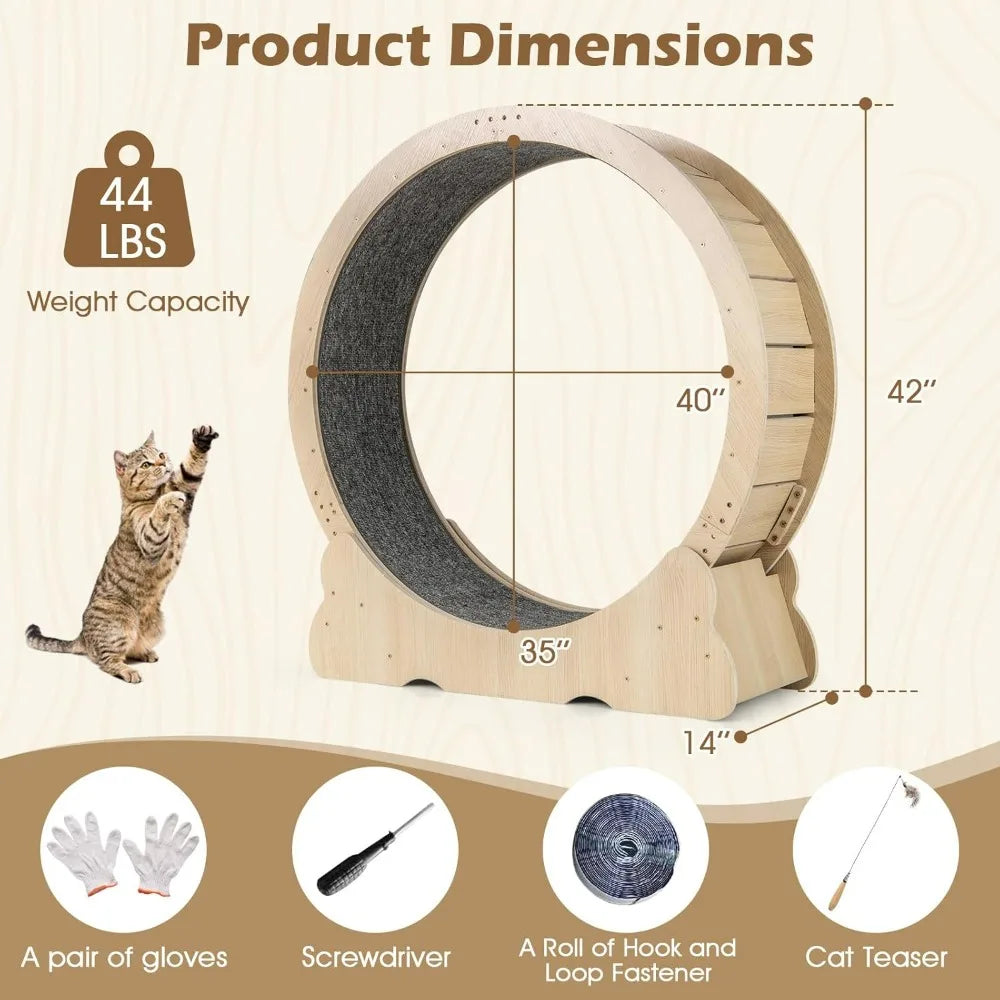 Indoor Cat Exercise Wheel With Lockable Mechanism Quiet Operation