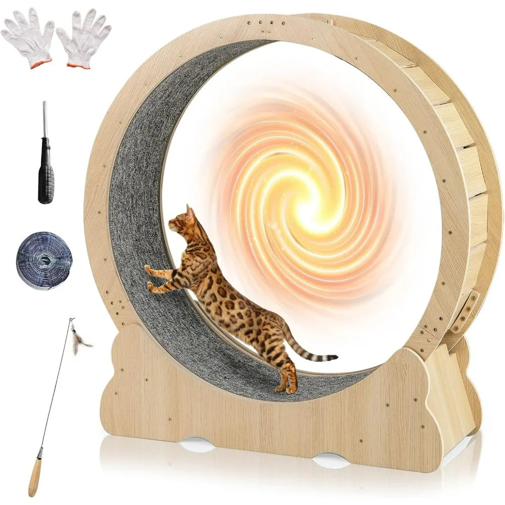 Indoor Cat Exercise Wheel With Lockable Mechanism Quiet Operation
