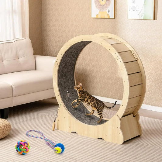 Indoor Cat Exercise Wheel With Lockable Mechanism Quiet Operation