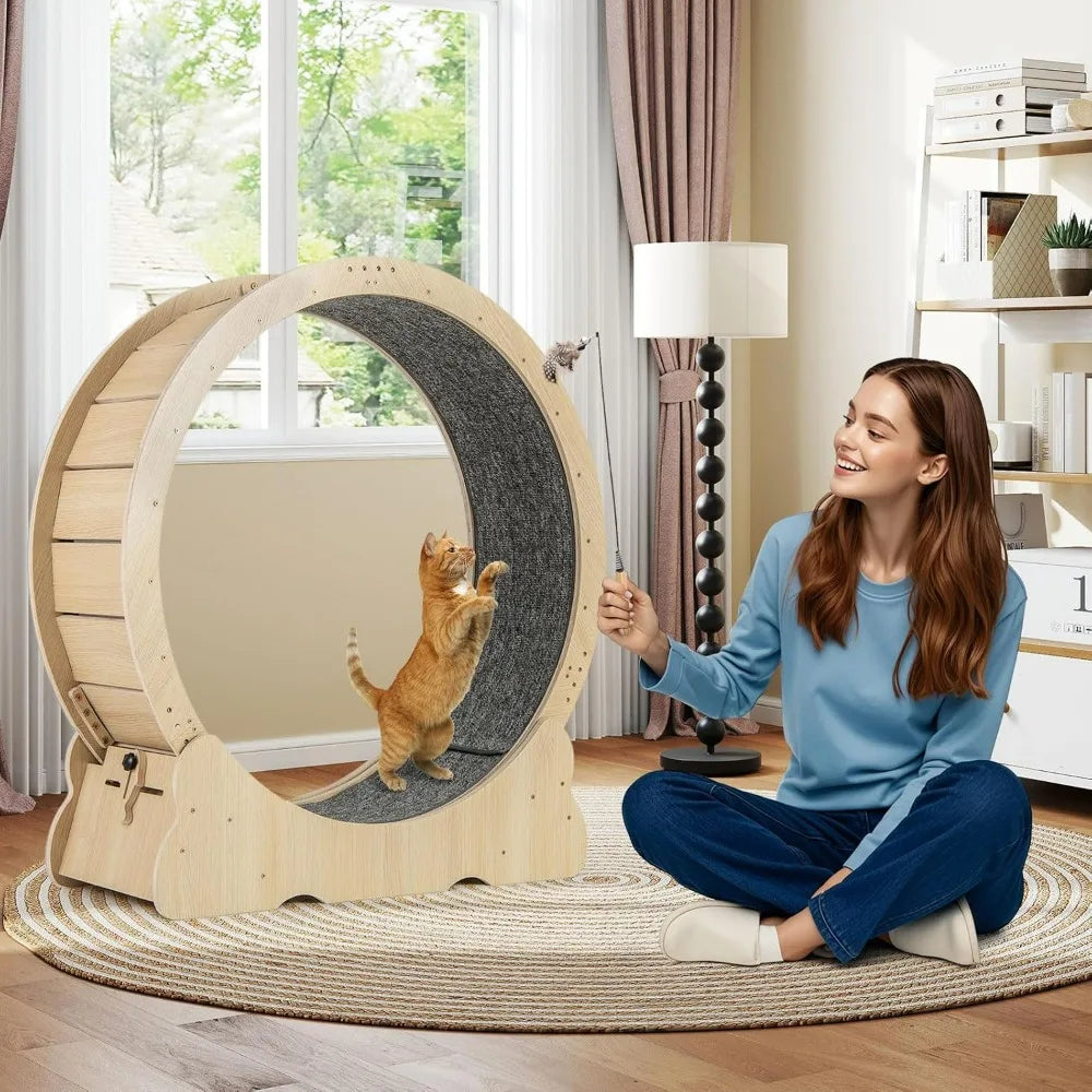 Indoor Cat Exercise Wheel With Lockable Mechanism Quiet Operation